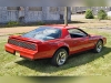 1984 Pontiac Firebird Trans AM Hatch Back Coupe